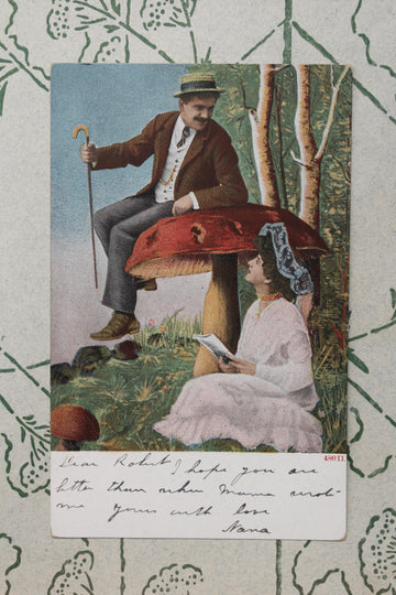 Mushroom Lovers I - Antique Surreal Postcard