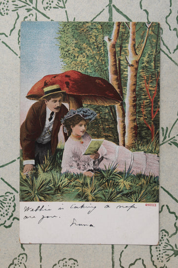 Mushroom Lovers III - Antique Surreal Postcard