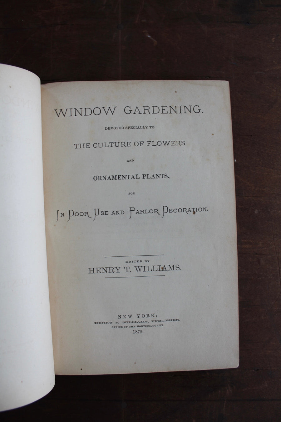 Window Gardening 1872