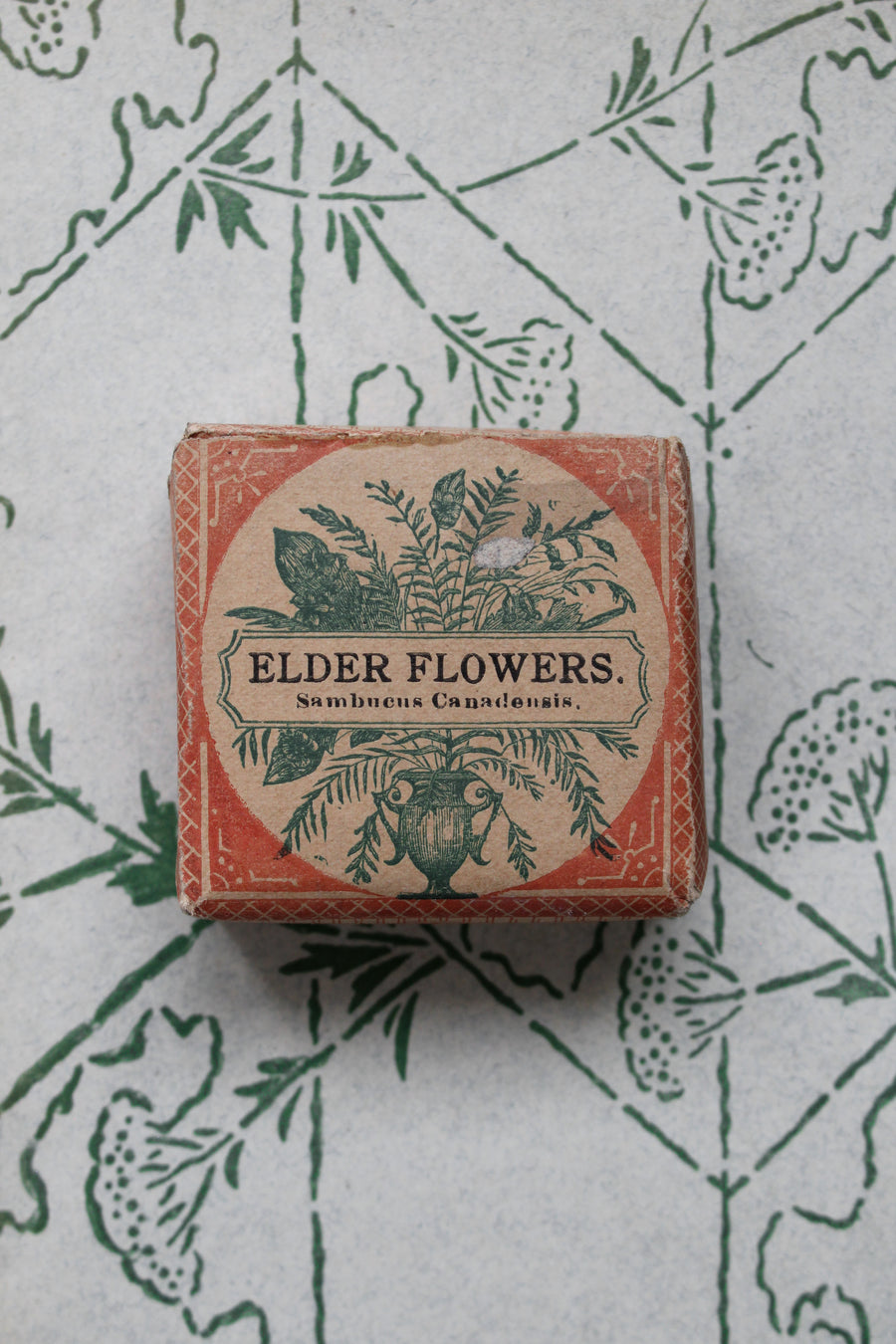 Elder Flowers - Early 1900s Apothecary Herbs