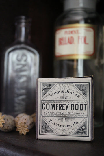 Comfrey - Early 1900s Apothecary Herbs