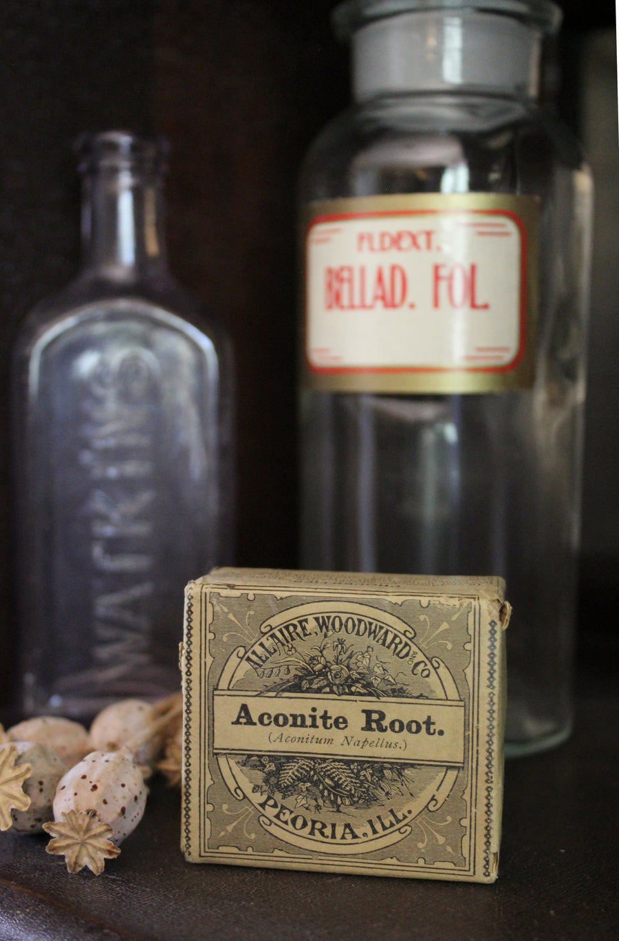 Aconite - Early 1900s Apothecary Herbs